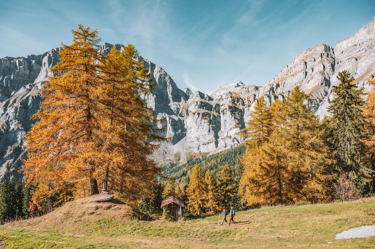 Larici dorati davanti alla parete calcarea del Gemmi — autunno a Leukerbad