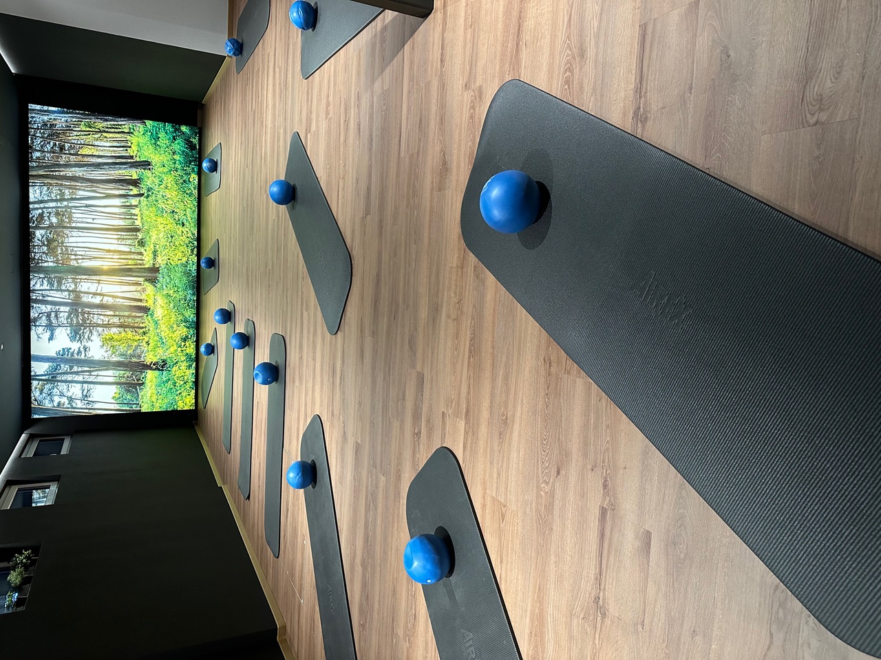 Bewegungsraum Therme 51° — Pilates-Studio mit Matten und Blick ins Grüne